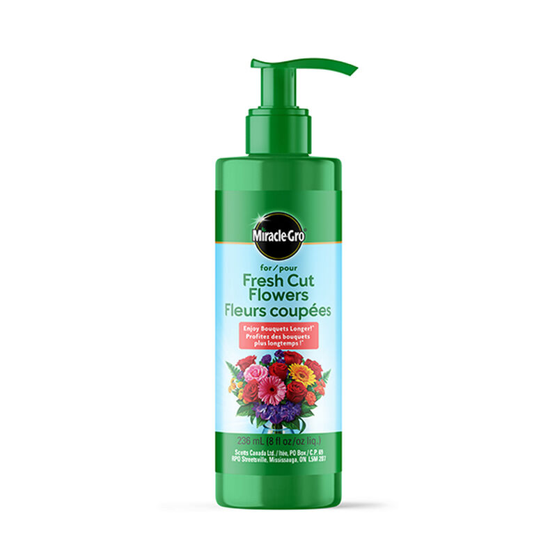 Miracle-Gro® for Fresh Cut Flowers image number null